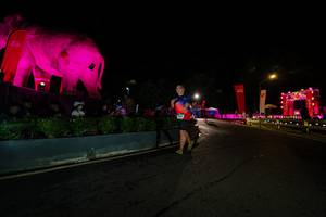 BIB: 
                            <button type="button" onclick="openModal(26552653)" class="btn btn-primary btn-sm float-right btn-popup" data-toggle="modal" data-target=".modal-high-quality">
                        <i class="fas fa-shopping-cart"></i> Add to Cart
                    </button>
                                            <button type="button" onclick="isThisMe(26552653, true)" class="btn btn-success btn-sm float-right btn-popup btn-isme hidden" data-toggle="tooltip" data-placement="bottom" title="นี่คือรูปของคุณใช่ไหม คลิกที่นี่เพื่อเอาเข้าอัลบั้ม">
                        <i class="fas fa-plus"></i> Add to album
                    </button>
                    <button type="button" onclick="isThisMe(26552653, false)" class="btn btn-warning btn-sm float-right btn-popup btn-isnotme hidden">
                        <i class="fas fa-ban"></i> Remove from album
                    </button>